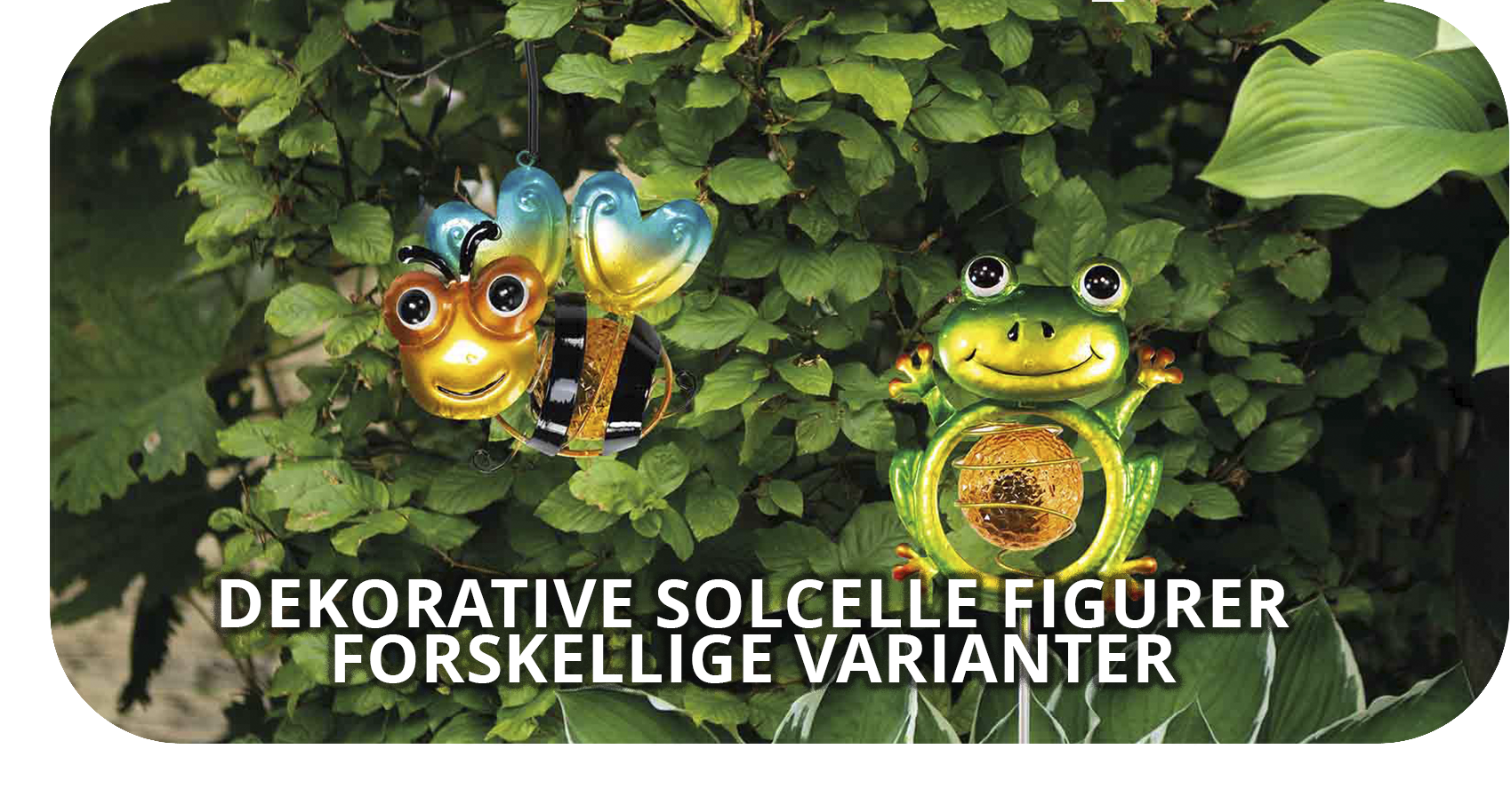 Bi og frø